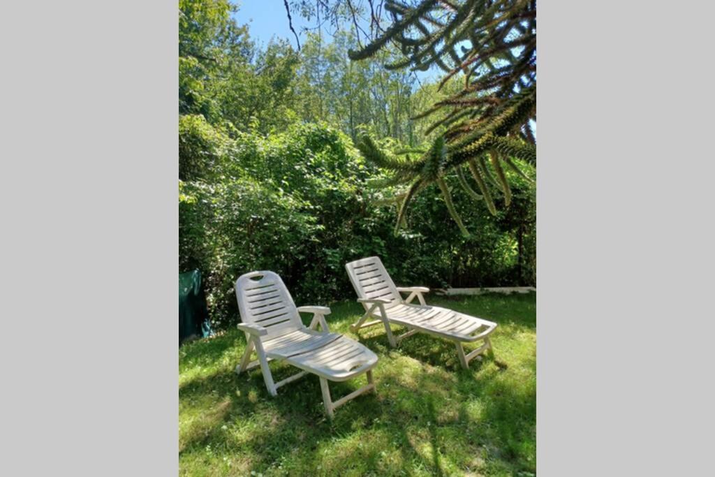 L'Oree Des Bois , Detente Et Calme . Mesigny Exterior foto